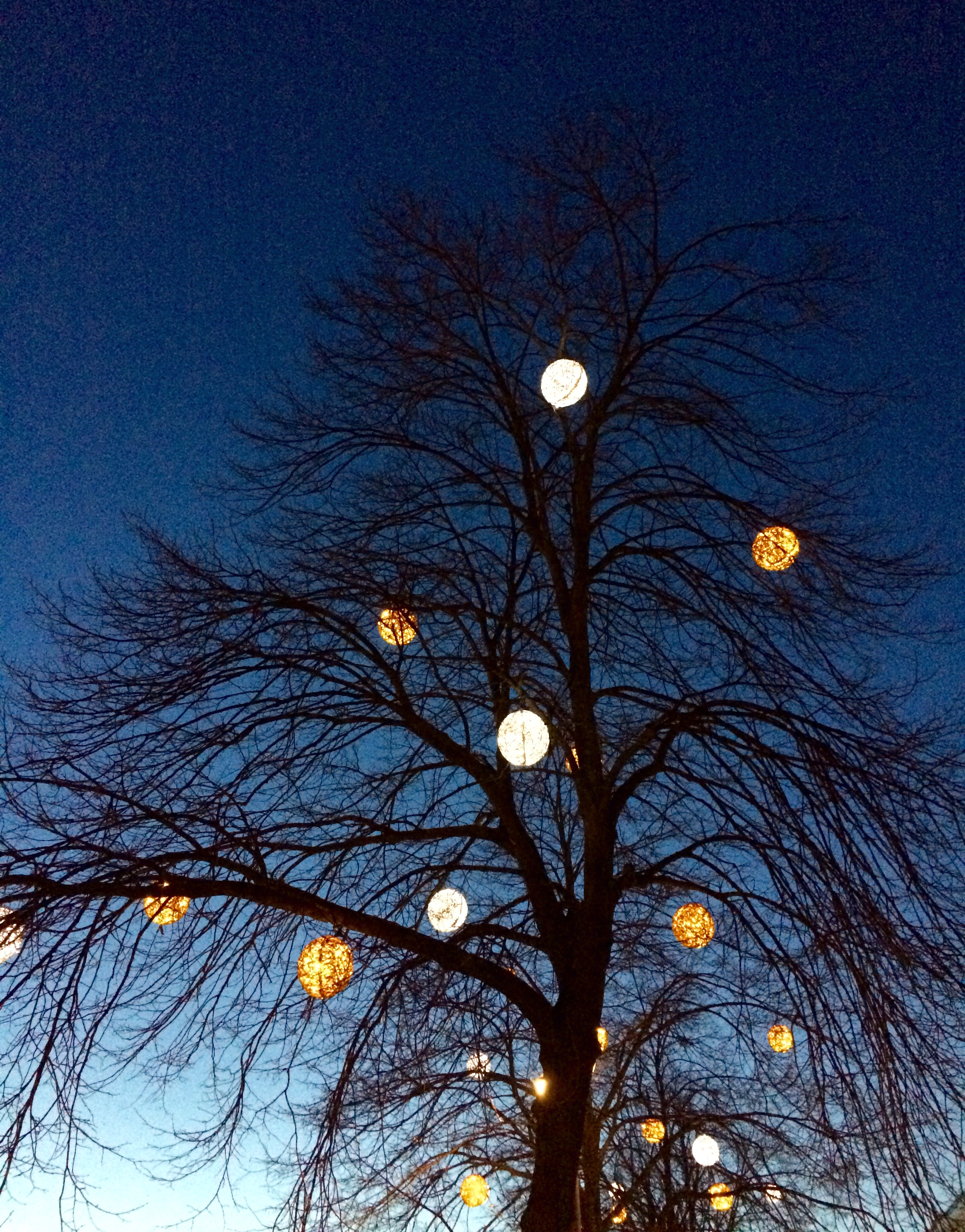 Vilka fina ljusbollar i trädet. 